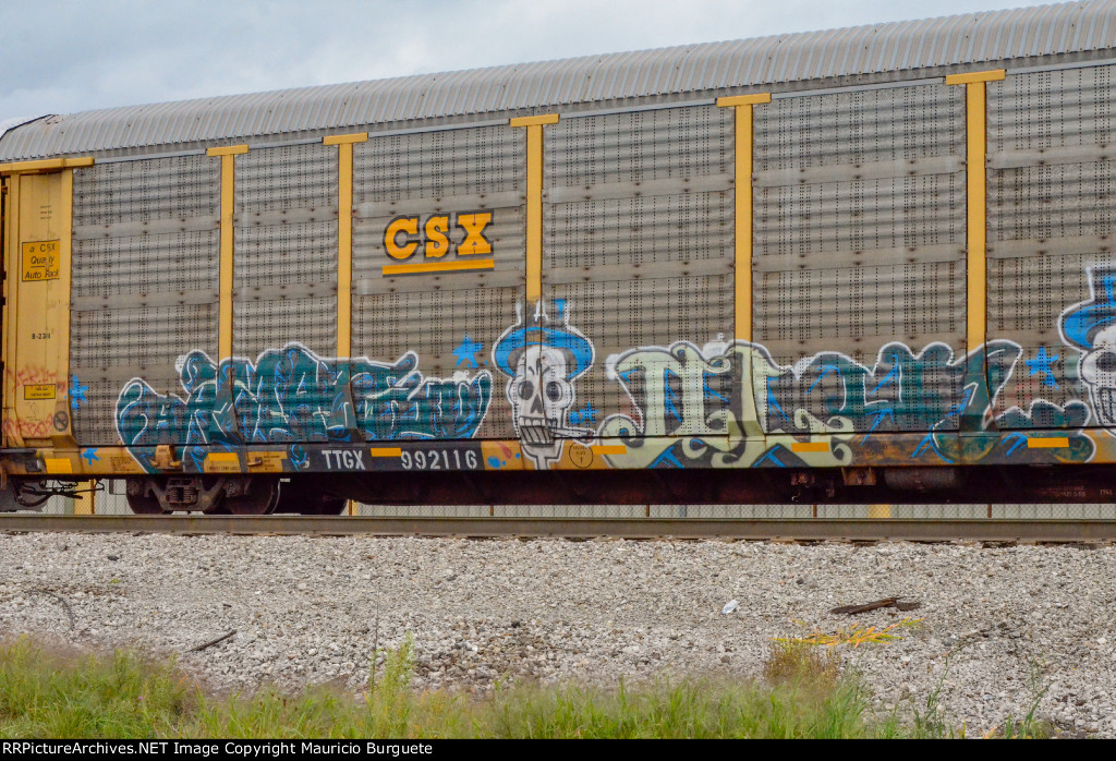 TTGX CSX Autorack